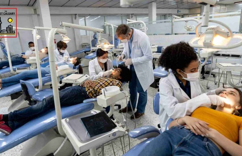 Top 12 Institutions Offering Dental Hygiene Courses in Canada