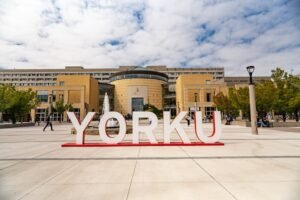 All courses at York University