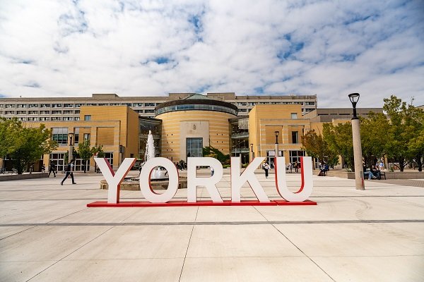 All courses at York University